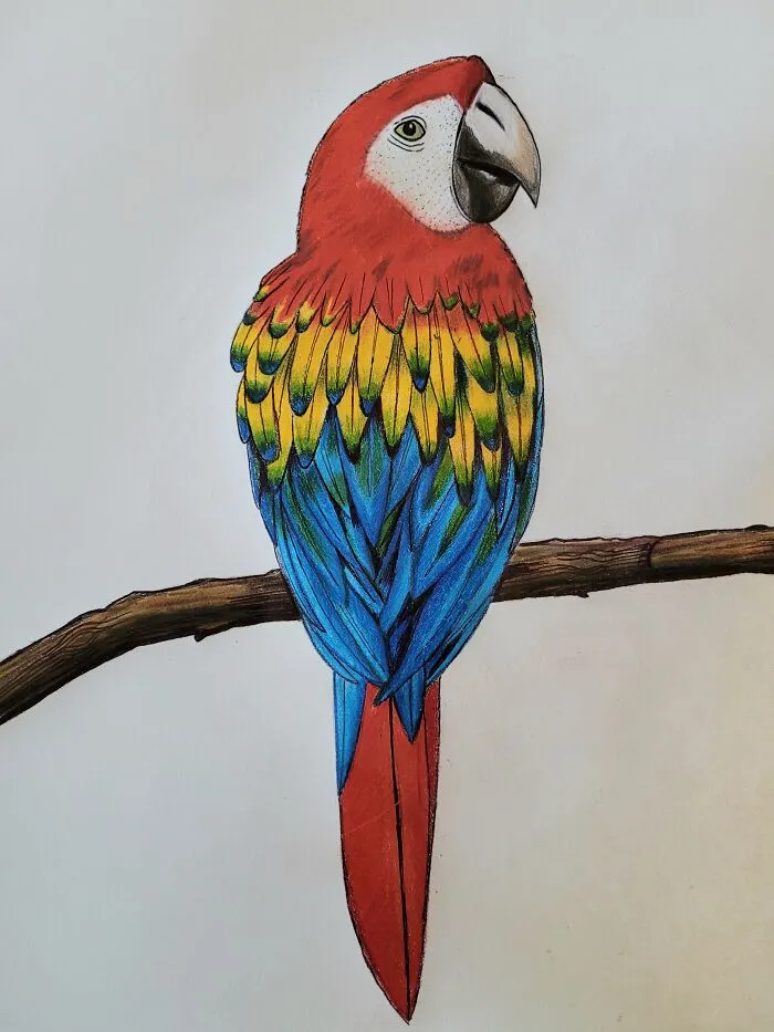I Love To Draw And Paint!