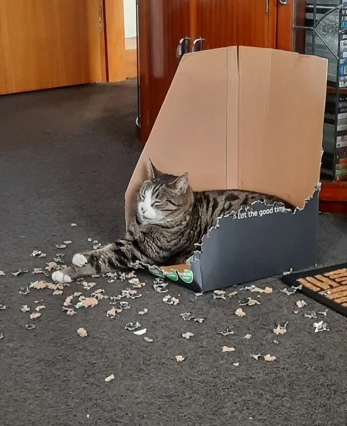 Boxes