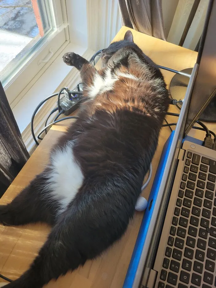 Are You Done Working Yet?