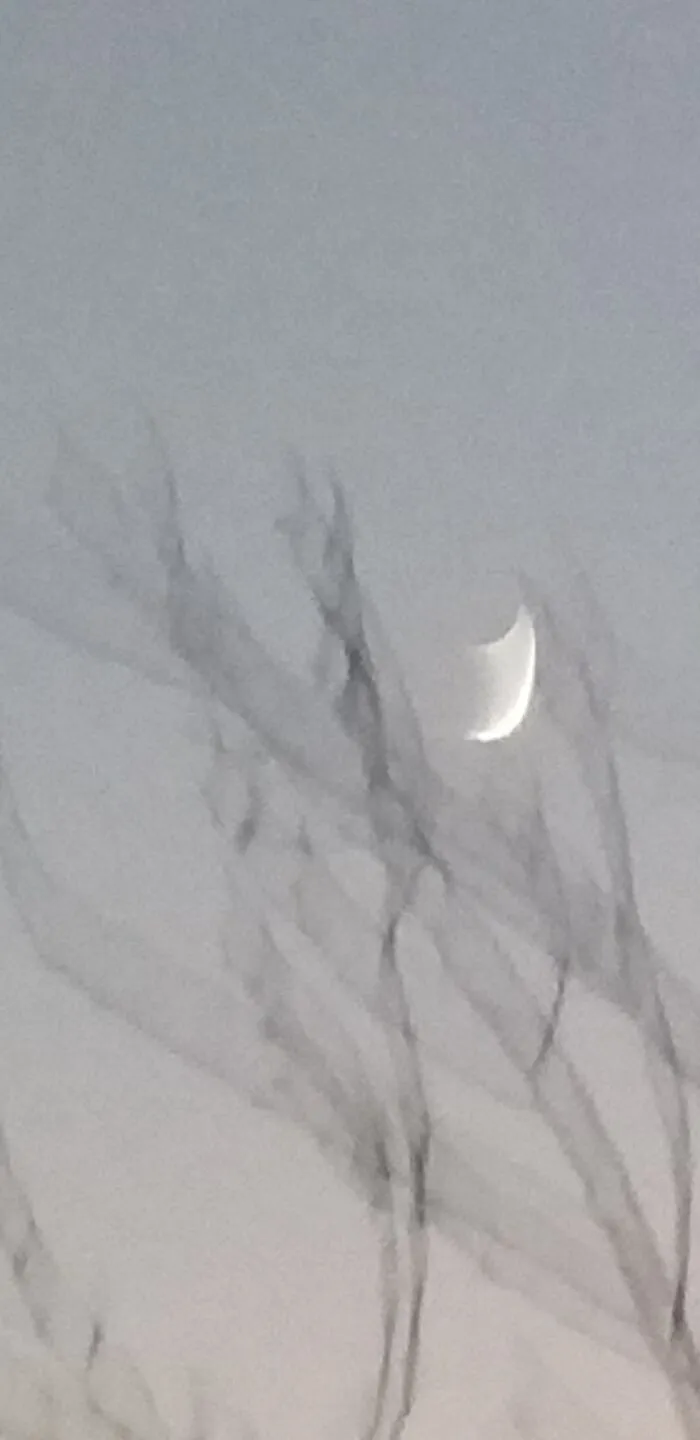I Tried To Capture The Beauty Of Evening Using Timer And This Happend To Me.