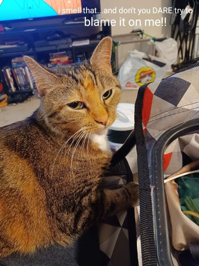 Wasn't Me