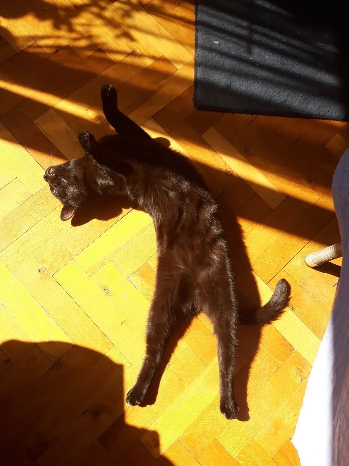 Sunbathing 🌞