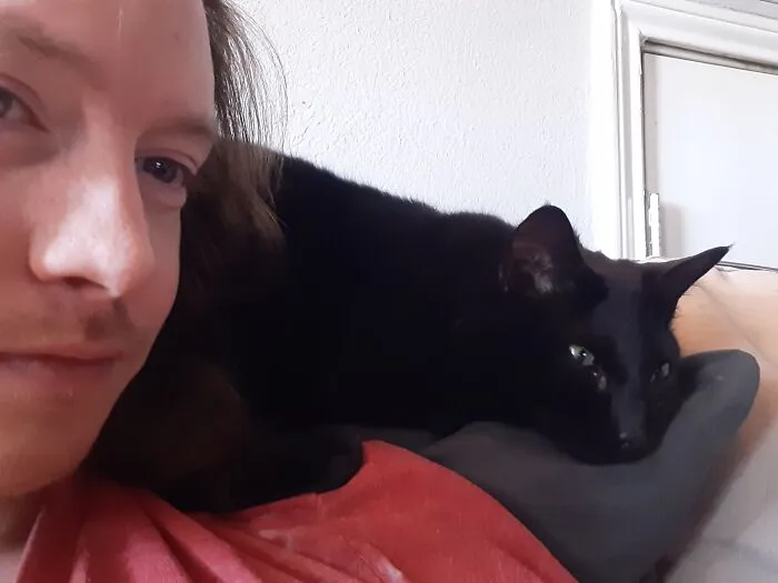 Everyday!! I Have A Cat Parrot!!