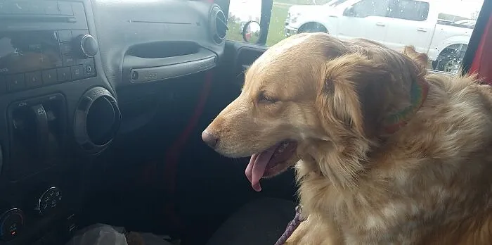 She Had To Have The Ac On. Barely 80° Outside.  Yep, A Little Spoiled.