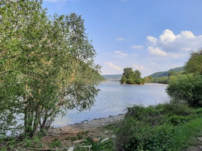 The River Rhine Near Bingen, Germany