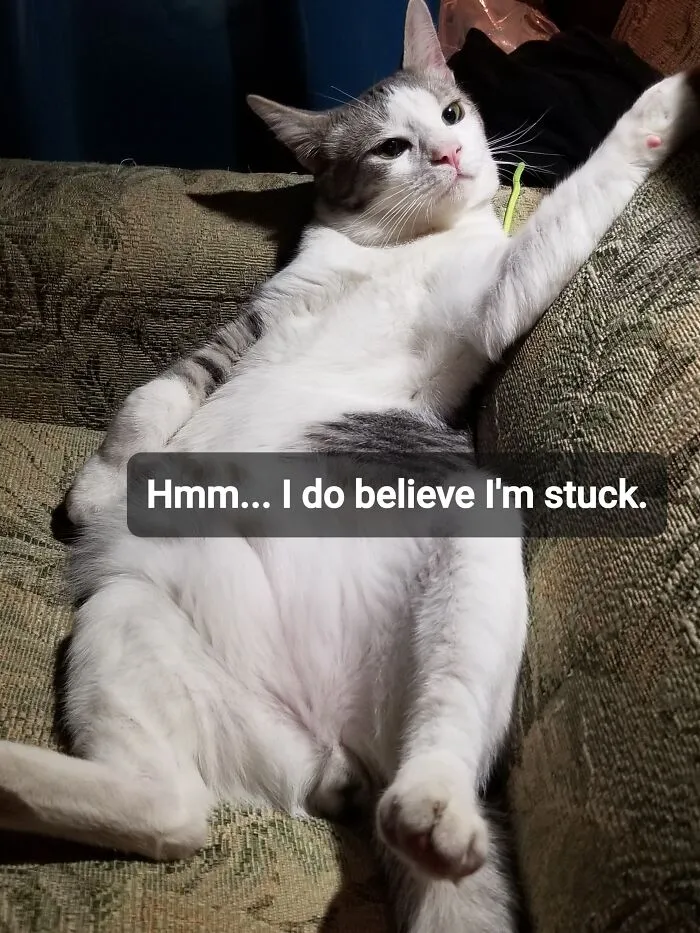 Mr. Grumpy-Butt