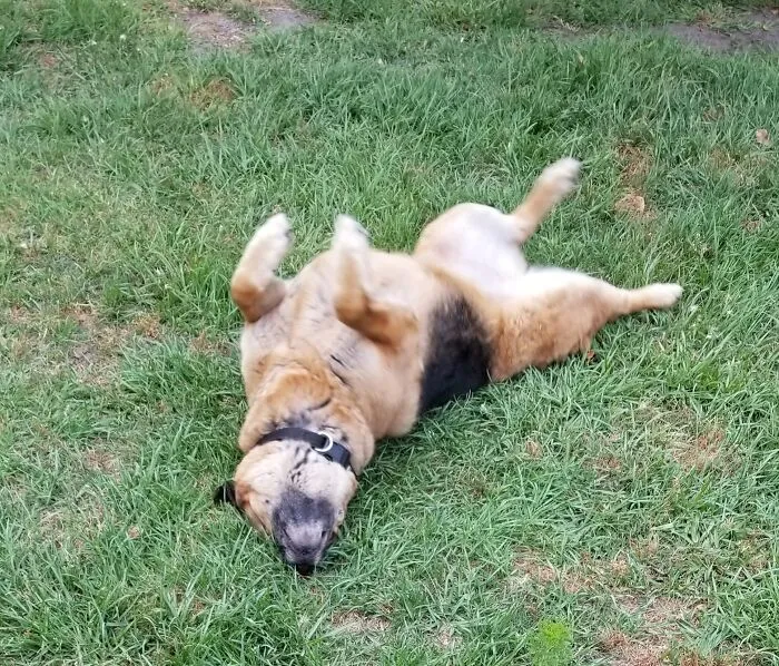 Sunbathing Beauty.