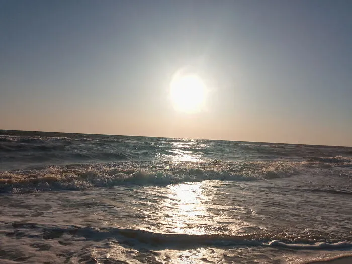 A Floridian Spring