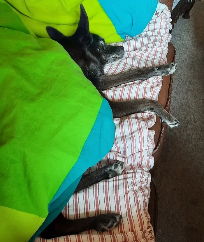 13 Pound And I Have To Fight For A Spot