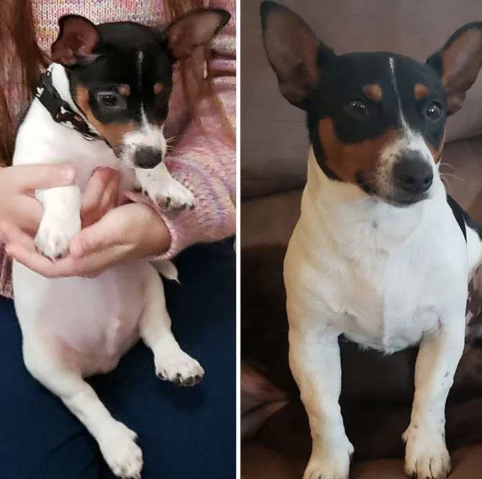 A Growing Potato