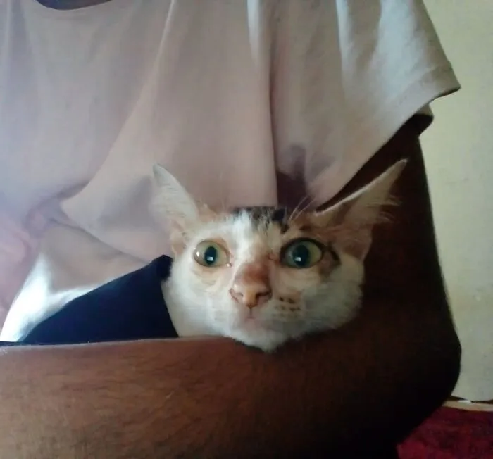 While Watching His 1st Horror Movie