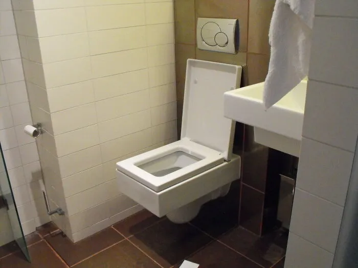 Heard That Friend Was In The Toilet