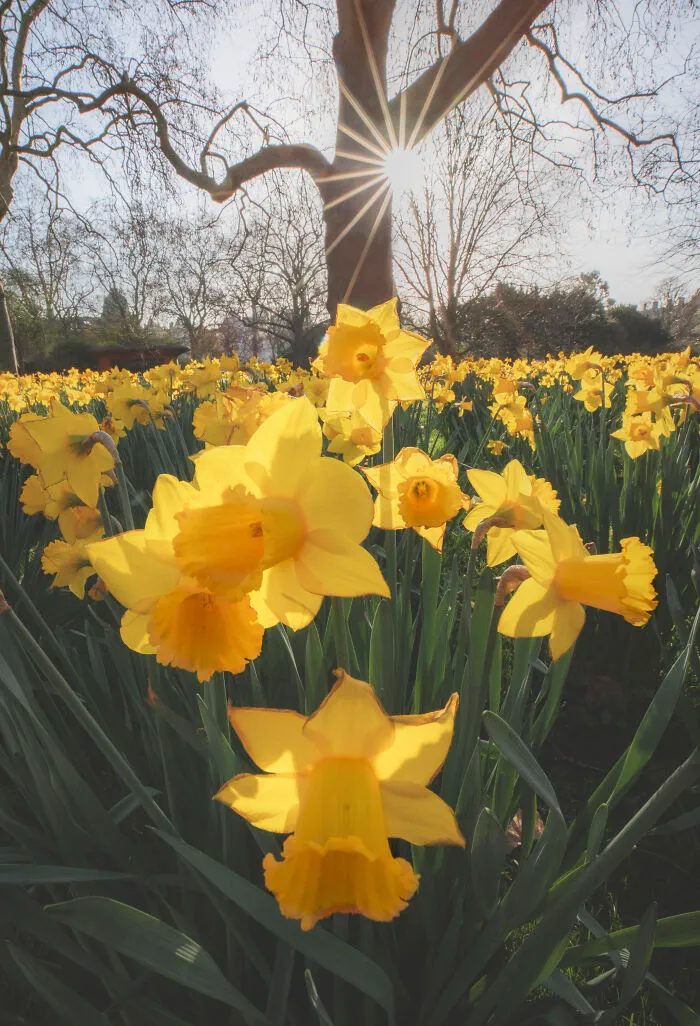 Most People Don't Know That London Is One Of The Greenest Cities In The World, And Here Are My 23 Photos To Prove It