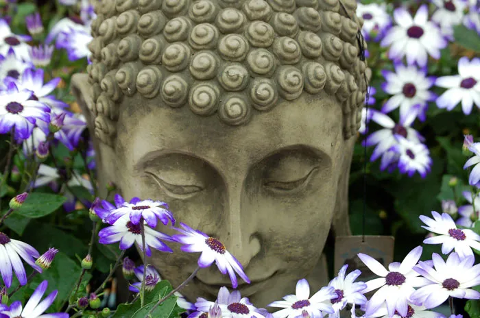Buddha Has Snails Protecting His Head So He Could Meditate In The Scorching Sun