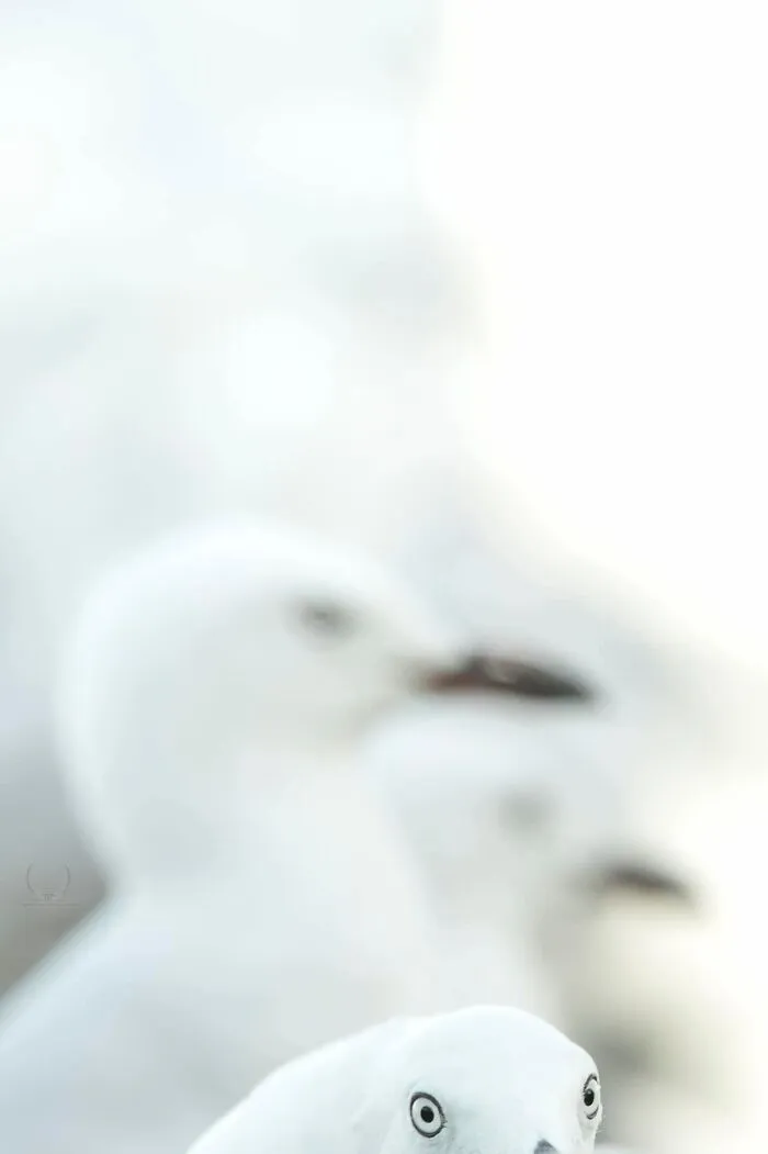 Pssst… Hey You… I See You