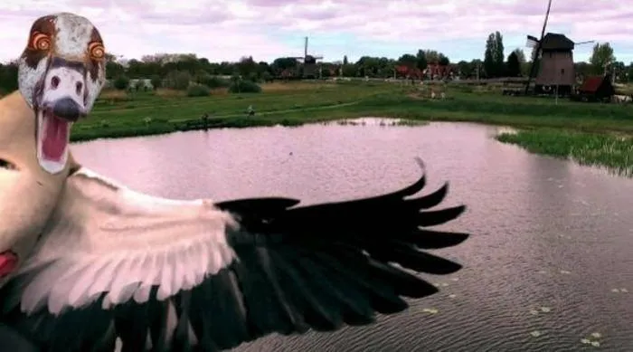Welcome, Drone! We Eat Your Kind, Here