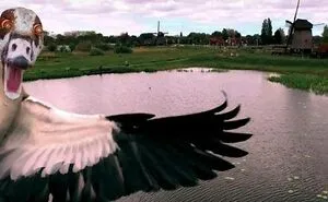 50 Bird Pics That Went Horribly Wrong But Ended Up With Hilarious Results, As Shared On This Facebook Group