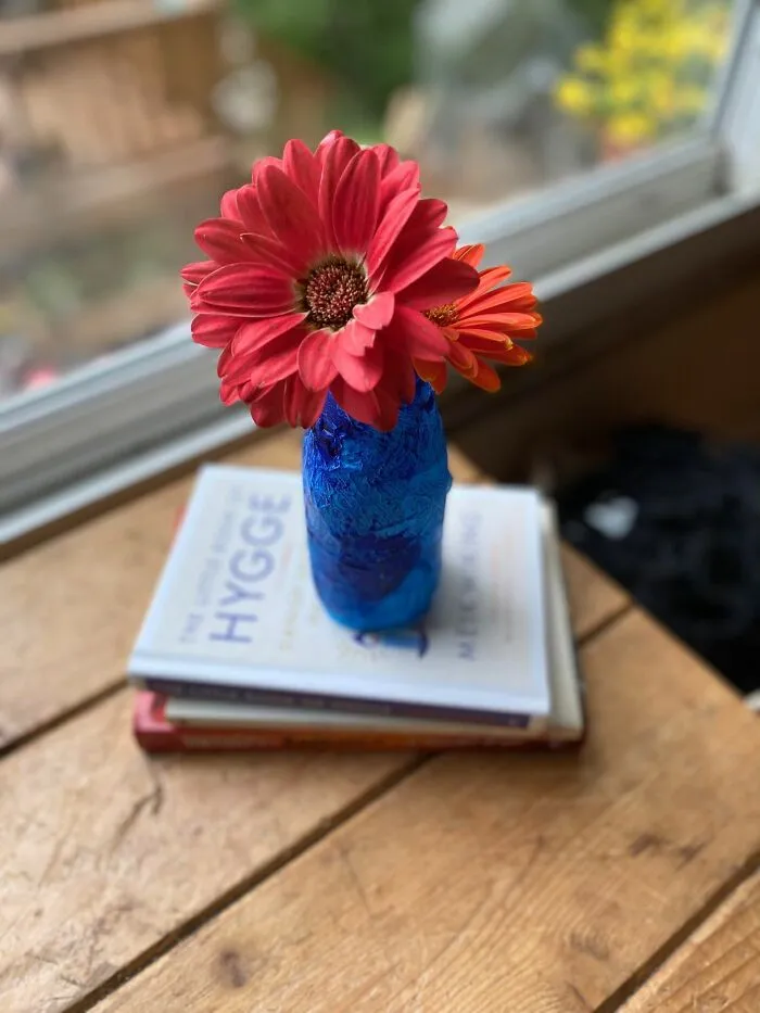 My Gerbera Daisies Are Coming Up
