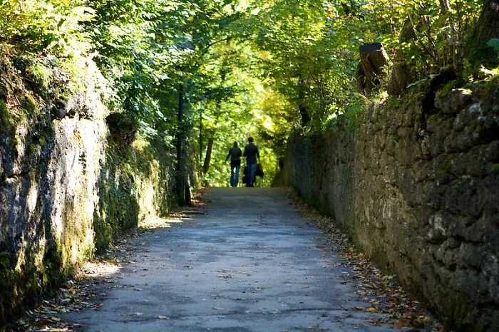 Do Not Stray From The Path