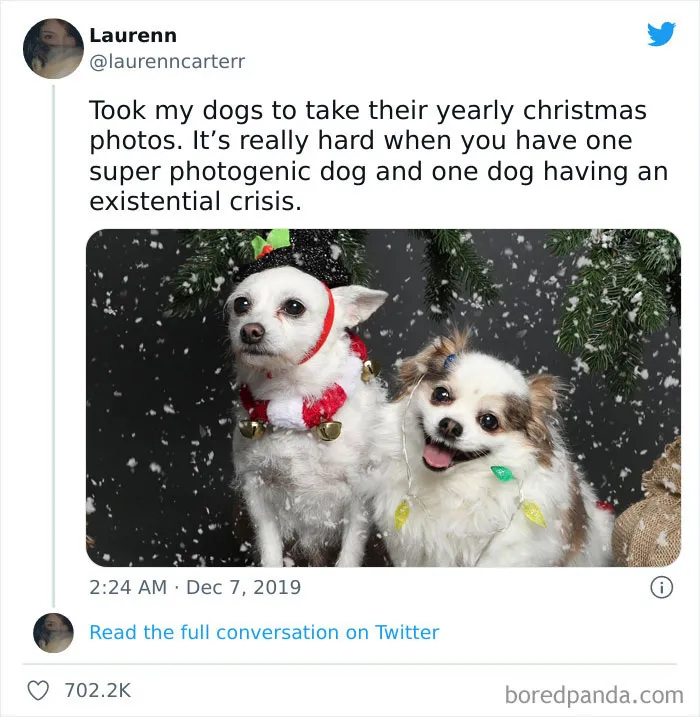 50 Hilariously Spot-On Tweets About Life With Cats And Dogs