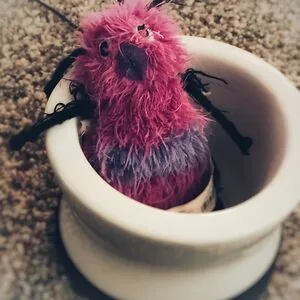 BeeInACup