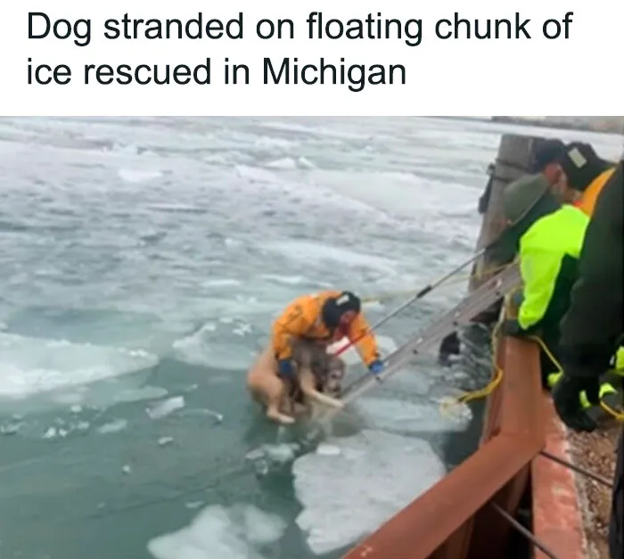 This Instagram Account Shares Uplifting News From Around The World So You Can See All The Good There Is (50 Posts)