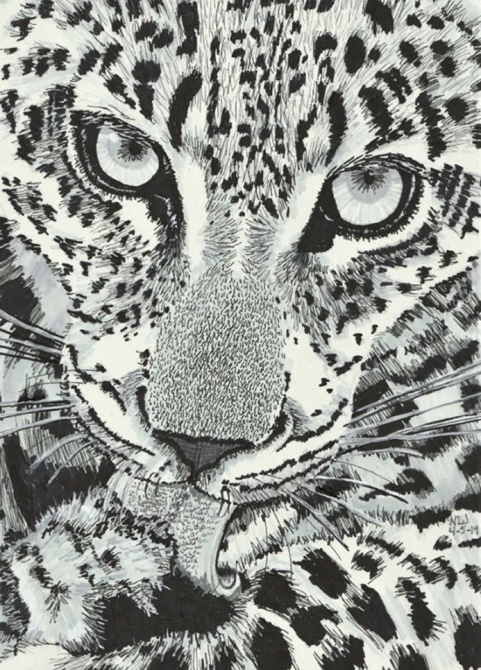 Ink On Paper