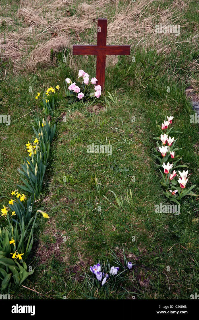 I Don’t Have A Photo So I’ll Use A Stock Photo, But I Can Visit My Grandma.