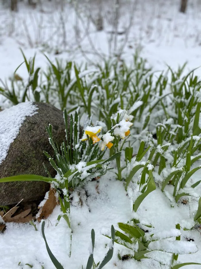 Spring Time, Wisconsin Style.