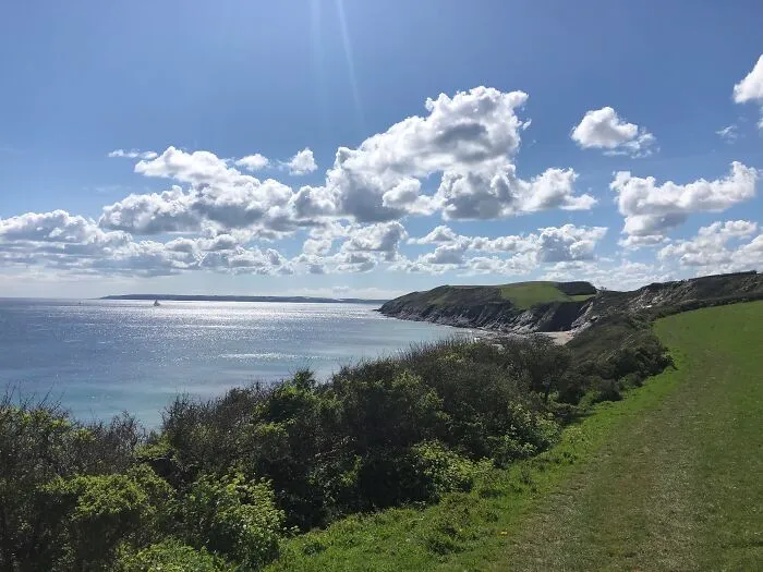 The Coastal Path In Cornwall, Seals In The Water Down There...