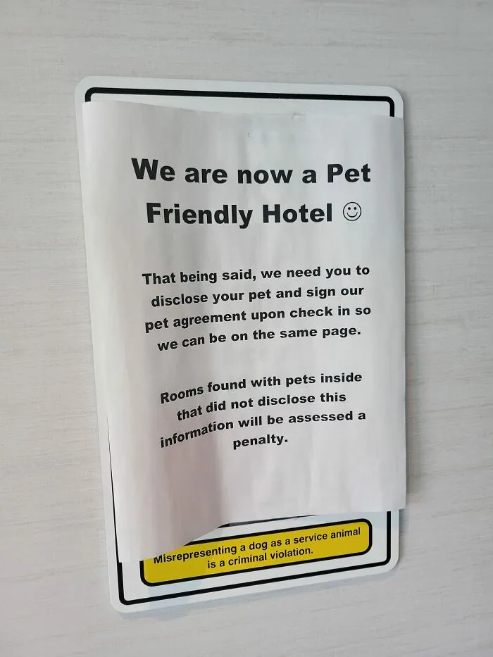 The-Absurd-Sign-Projects