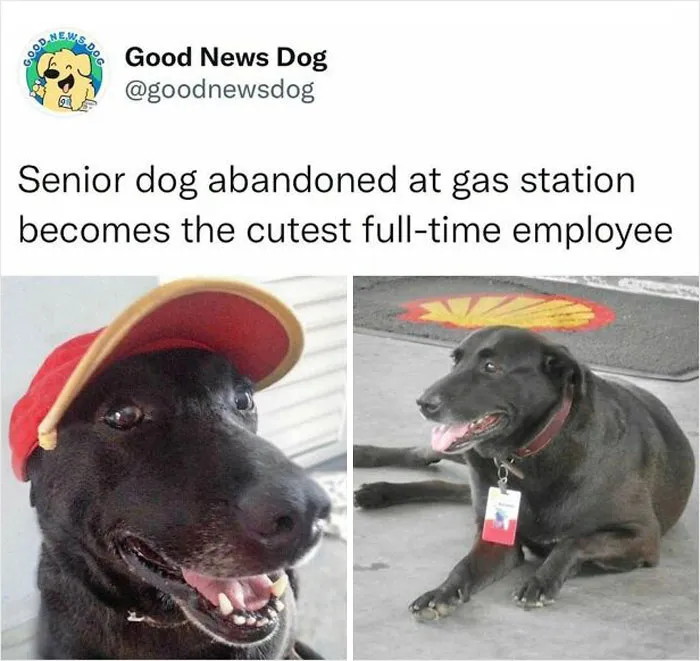 This Instagram Account Shares Uplifting News From Around The World So You Can See All The Good There Is (50 Posts)