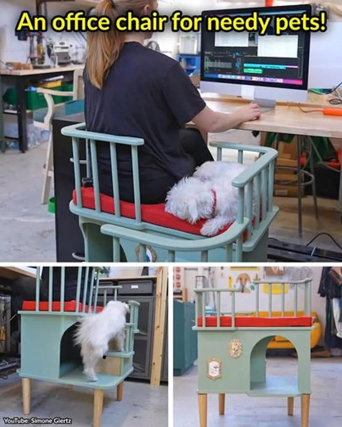 How Great Is This?!