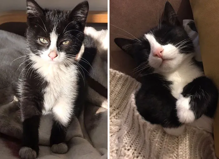 My Baby Üzüm, First Day At Home And Now
