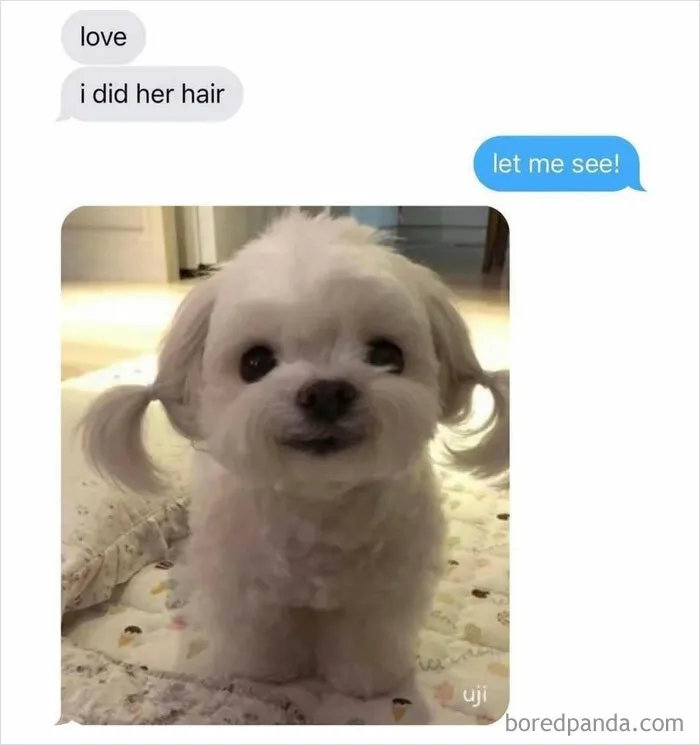 50 Posts From The “Wait This Is Wholesome” Facebook Group To Restore Your Faith In Humanity