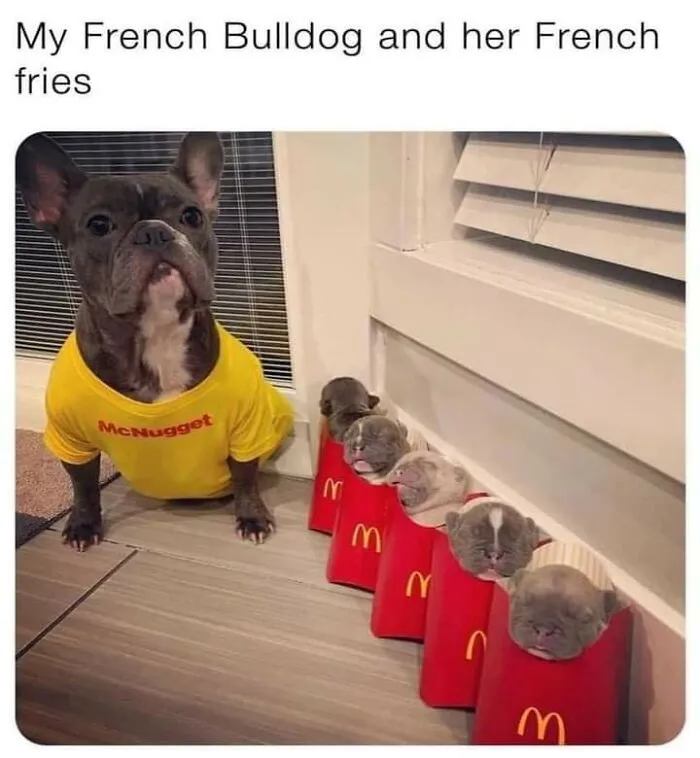 50 Posts From The “Wait This Is Wholesome” Facebook Group To Restore Your Faith In Humanity