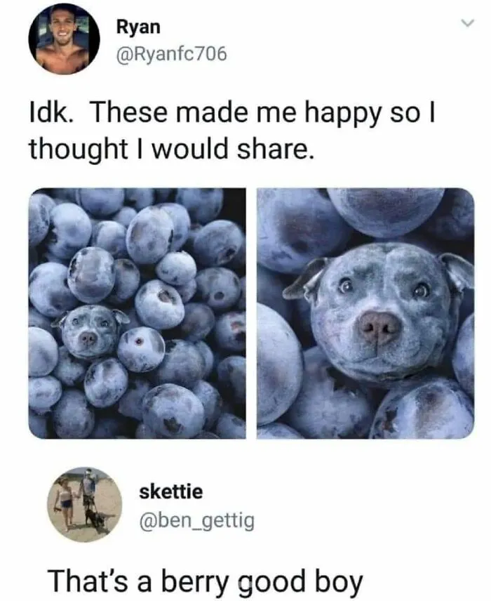 50 Posts From The “Wait This Is Wholesome” Facebook Group To Restore Your Faith In Humanity
