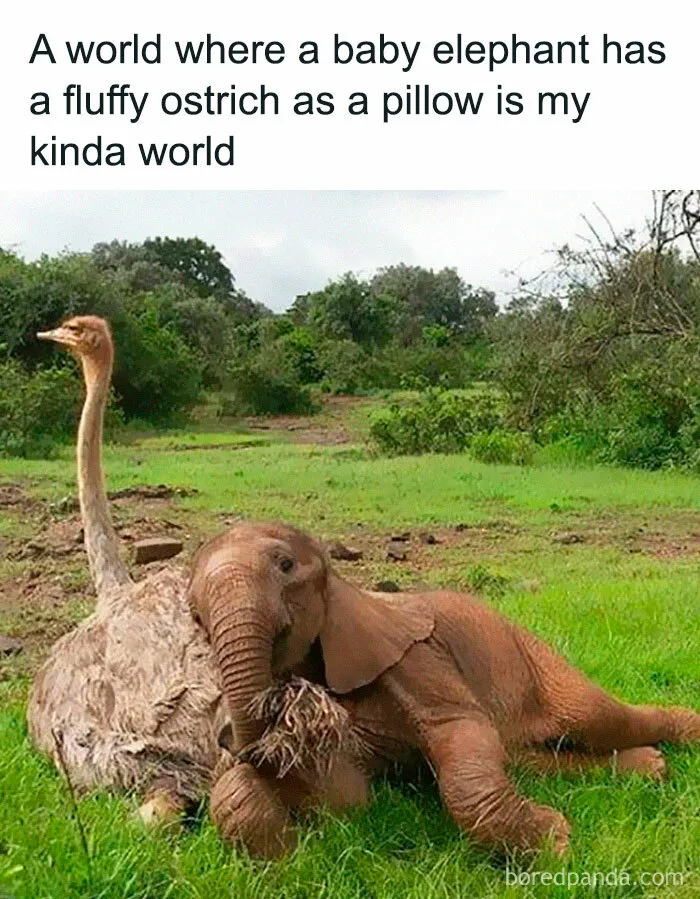 50 Posts From The “Wait This Is Wholesome” Facebook Group To Restore Your Faith In Humanity