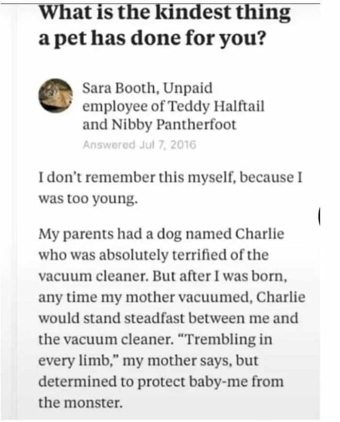 50 Posts From The “Wait This Is Wholesome” Facebook Group To Restore Your Faith In Humanity