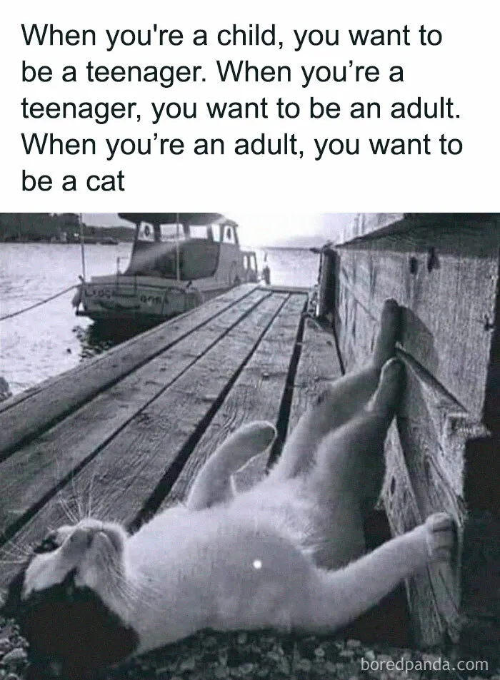 50 Posts From The “Wait This Is Wholesome” Facebook Group To Restore Your Faith In Humanity