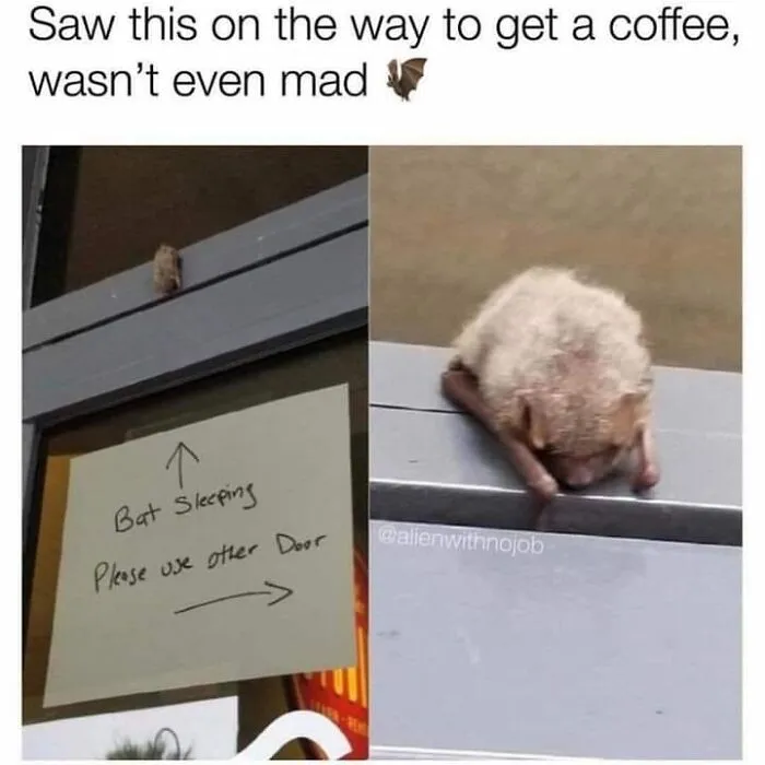 50 Posts From The “Wait This Is Wholesome” Facebook Group To Restore Your Faith In Humanity