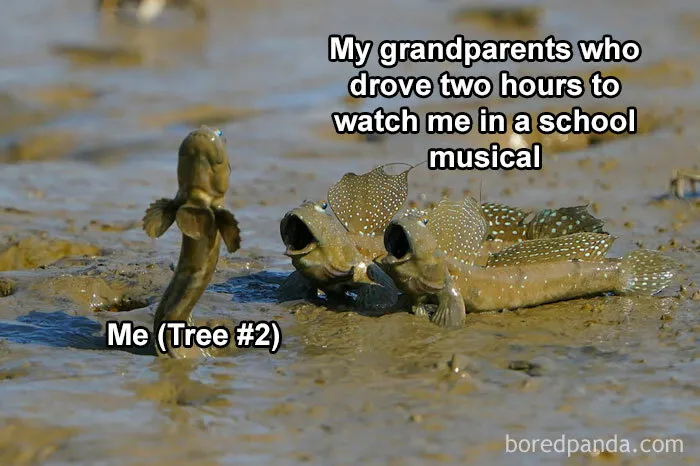 50 Posts From The “Wait This Is Wholesome” Facebook Group To Restore Your Faith In Humanity