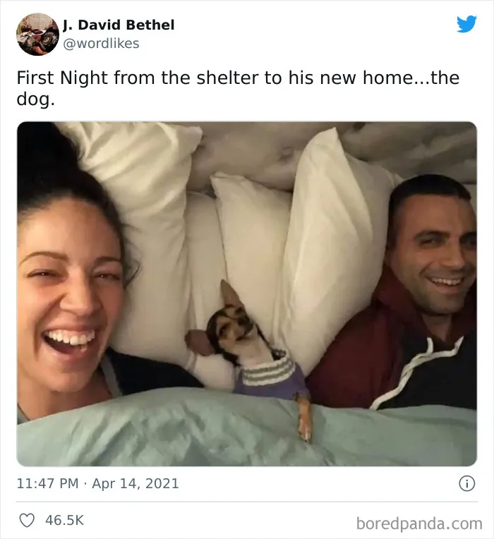50 Posts From The “Wait This Is Wholesome” Facebook Group To Restore Your Faith In Humanity