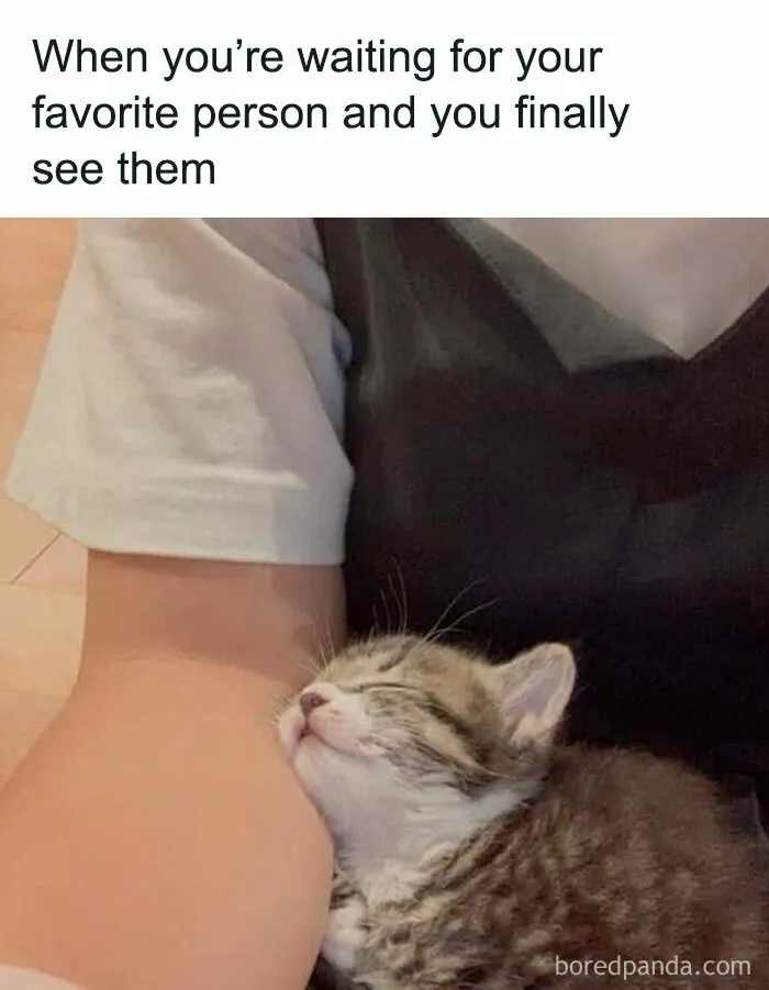 50 Posts From The “Wait This Is Wholesome” Facebook Group To Restore Your Faith In Humanity