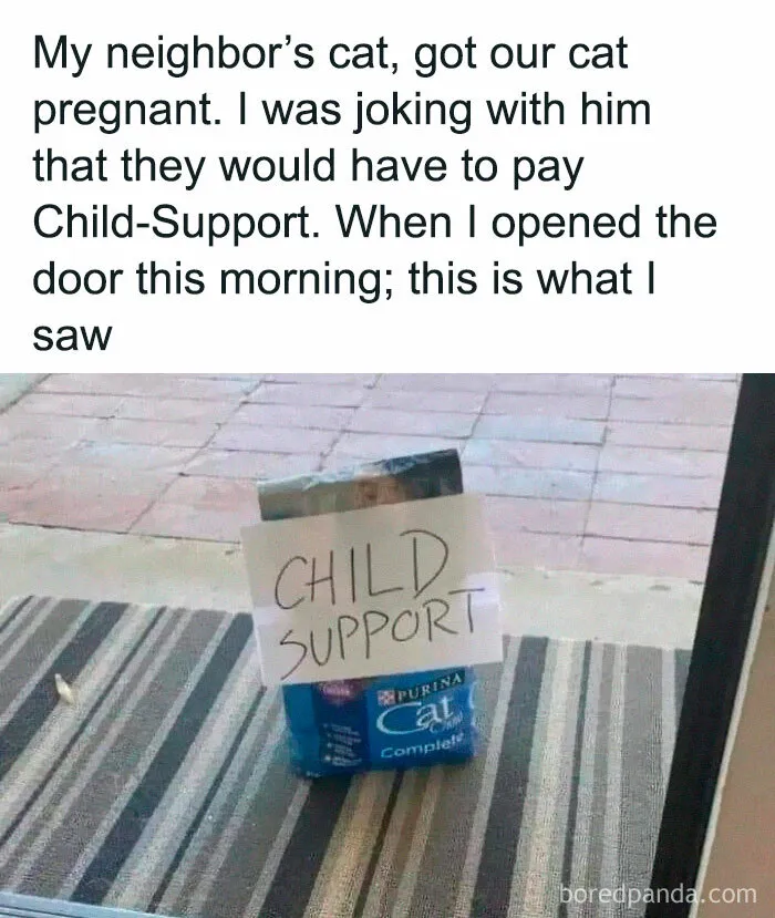 50 Posts From The “Wait This Is Wholesome” Facebook Group To Restore Your Faith In Humanity