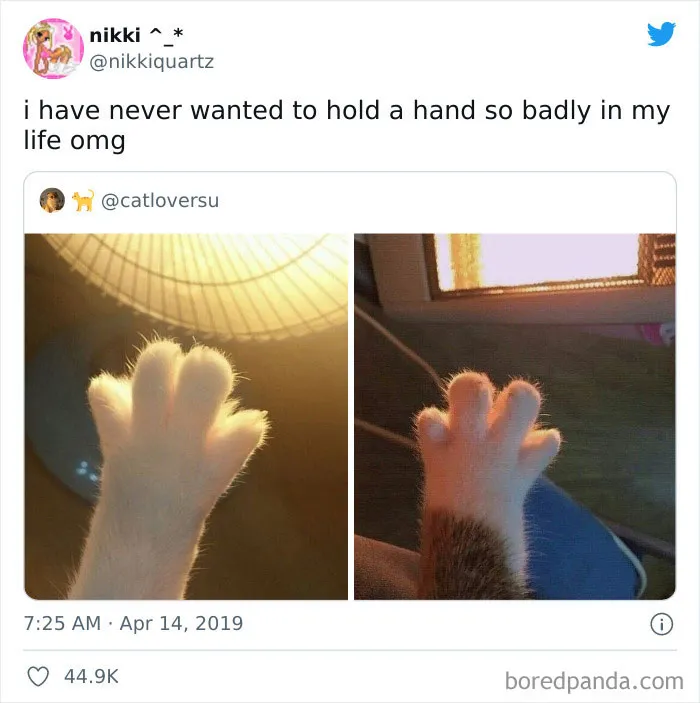 50 Posts From The “Wait This Is Wholesome” Facebook Group To Restore Your Faith In Humanity
