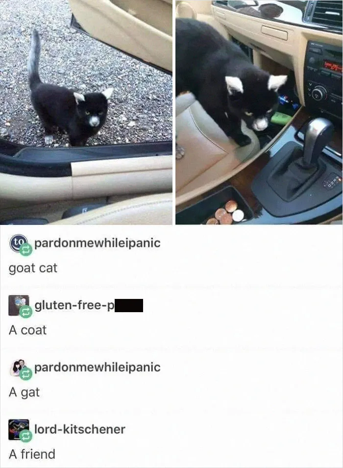 50 Posts From The “Wait This Is Wholesome” Facebook Group To Restore Your Faith In Humanity