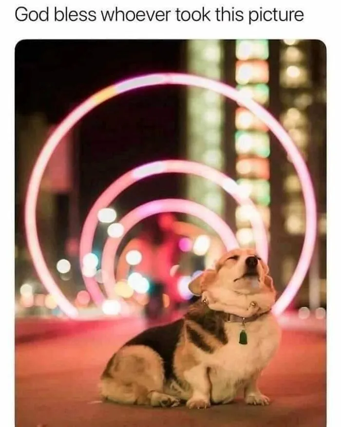 50 Posts From The “Wait This Is Wholesome” Facebook Group To Restore Your Faith In Humanity
