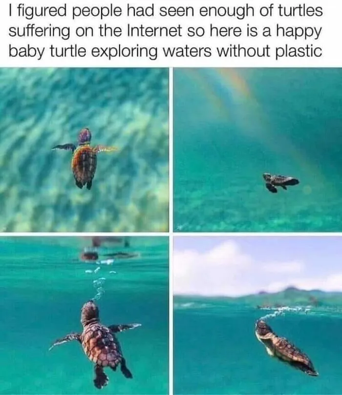 50 Posts From The “Wait This Is Wholesome” Facebook Group To Restore Your Faith In Humanity