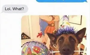 50 Posts From The “Wait This Is Wholesome” Facebook Group To Restore Your Faith In Humanity